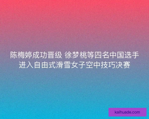 陈梅婷成功晋级 徐梦桃等四名中国选手进入自由式滑雪女子空中技巧决赛